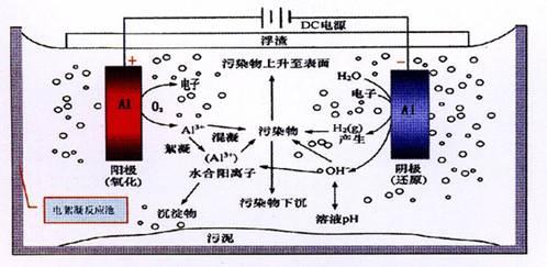 電催化氧化